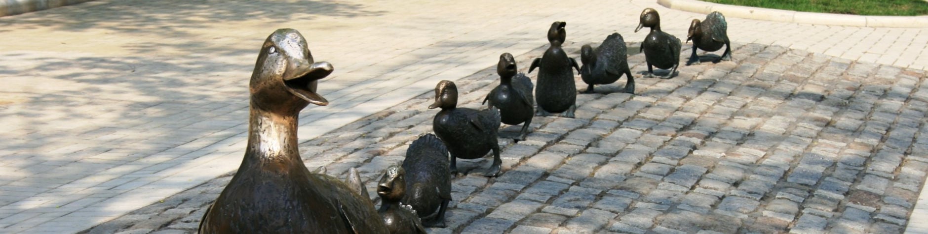 ducks-in-a-row_cropped2-1