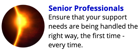 Senior Professionals